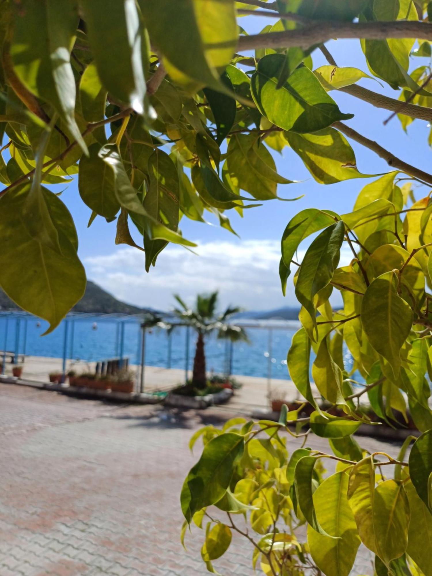 Yazici Otel Bozburun Marmaris Bagian luar foto